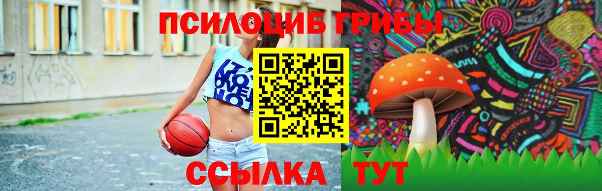 Семёнов  Псилоцибиновые грибы мухоморы  Вход с VPN 