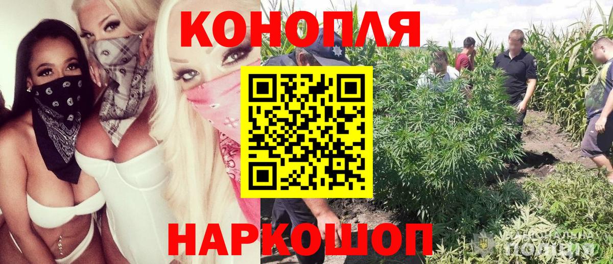 Конопля гибрид  Бошки марихуана сатива  Семёнов  Вход с VPN  Конопля планчик 